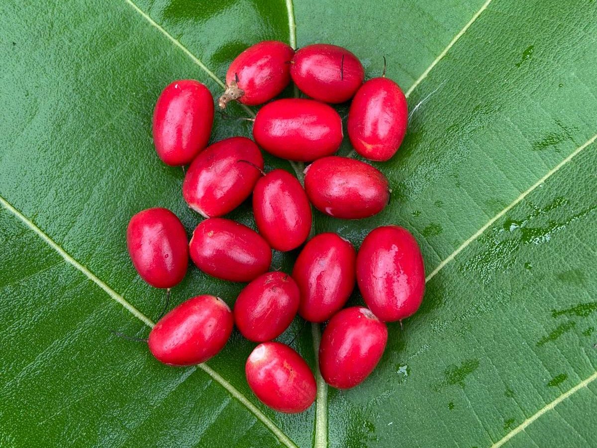 PHOTO-2024-09-21-18-06-23